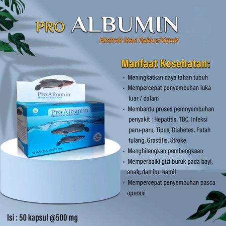 Albumin Fit Kapsul Ekstrak Ikan Gabus Obat Penyembuhan Pasca Operasi Isi 60 Kapsul Ori