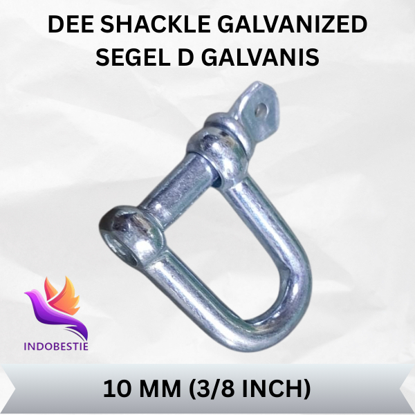 PROMO GROSIR Segel Omega D Shackle Dee Bolt M10 Bow Shackles 10mm Marine Grade Polished Sambungan Ra