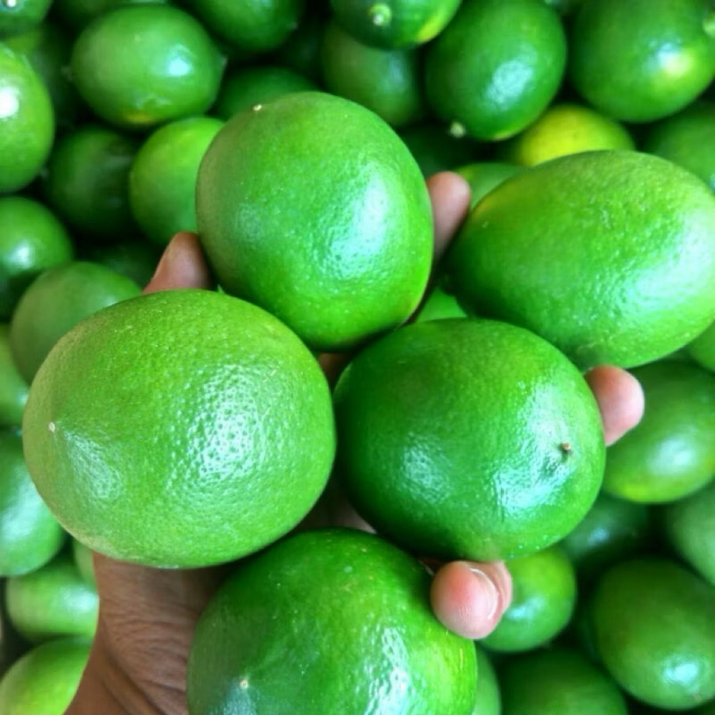 Lemon california hijau