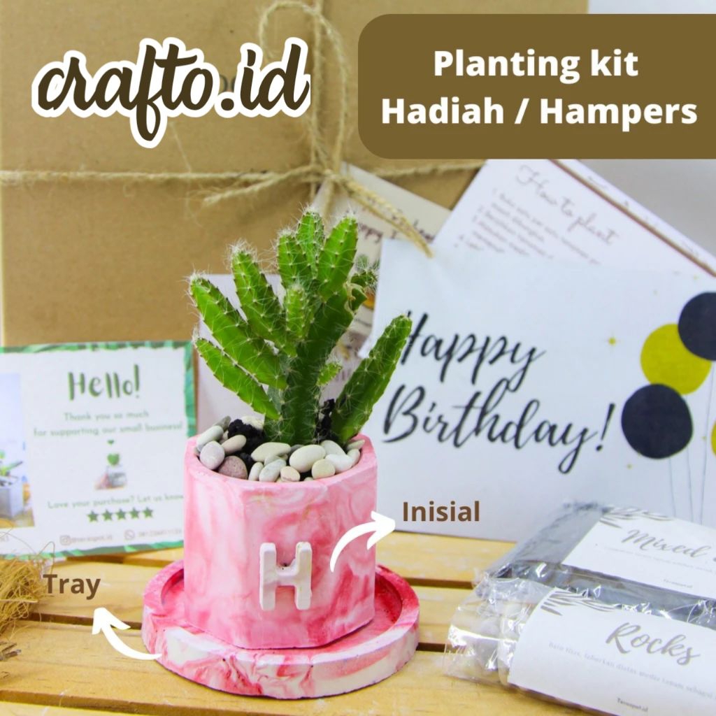 Souvenir Kaktus Sukulen Mini DIY – Tanaman Hidup Custom Inisial & Kartu Ucapan