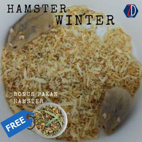 Hamster Winter Tiger Golden Argente White Sehat Lincah Only Instan
