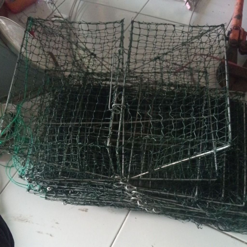 Jebakan kotak kepiting