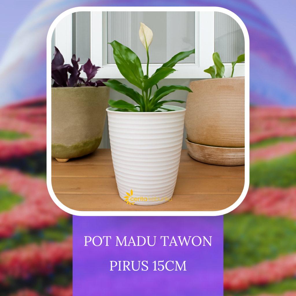 [TANPA MINIMAL ORDER] (1 pc) Pot Bunga Plastik Pot Pirus Tirus Pot Tawon Tinggi 15 cm Putih