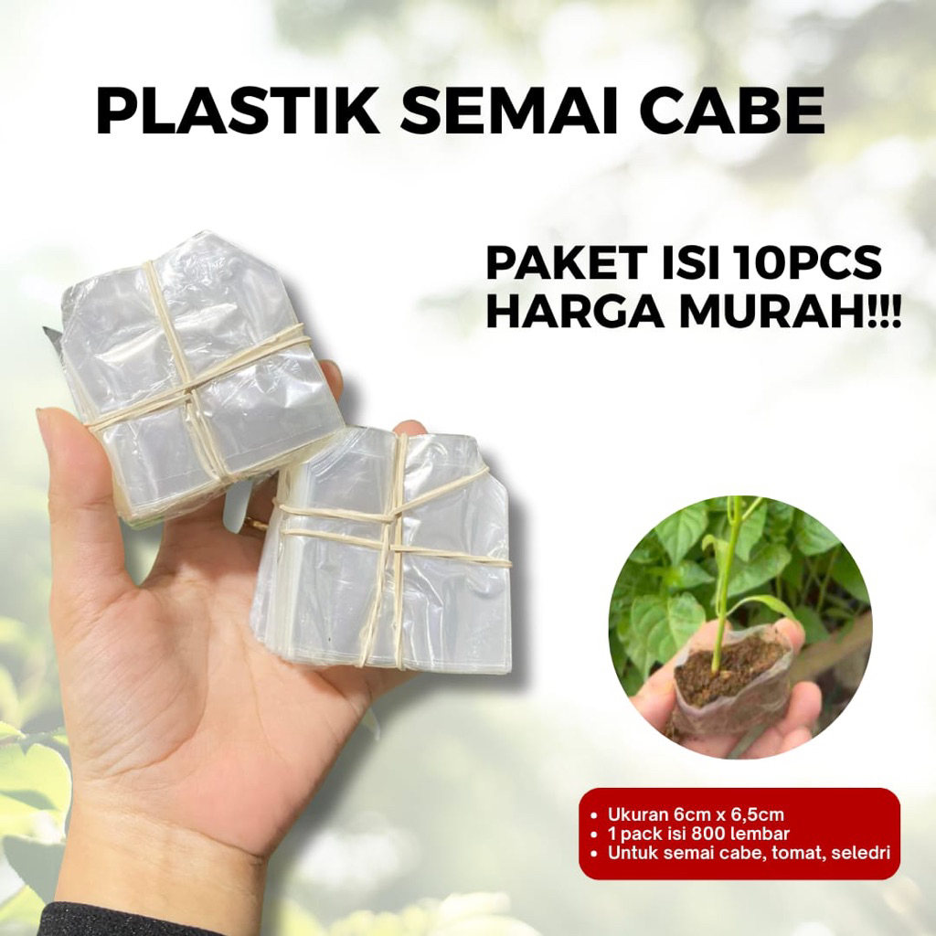 Paket Isi 10 pack Plastik Semai Cabe-Semai Cabe Grosir Isi 10 pack Murah-Polybag Semai Cabe isi 10pa