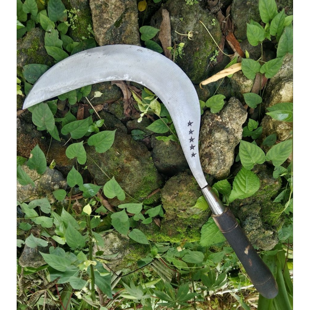 1Pcs Arit Rumput Padi Jagung Ramban Ranting Ori Cap Bintang 5 Asli Baja Super Tajam (free 1pisau dap