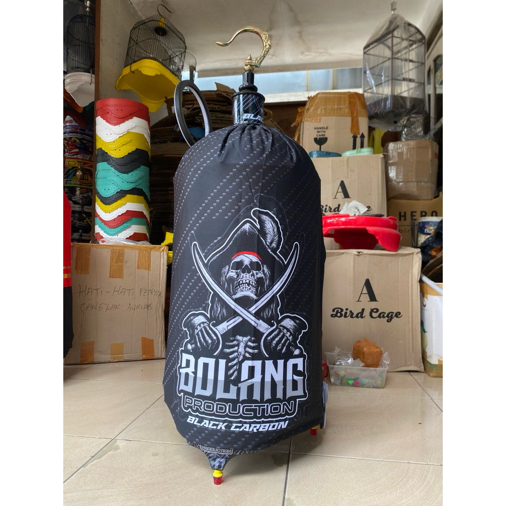 Kerojong Lovebird bolang.