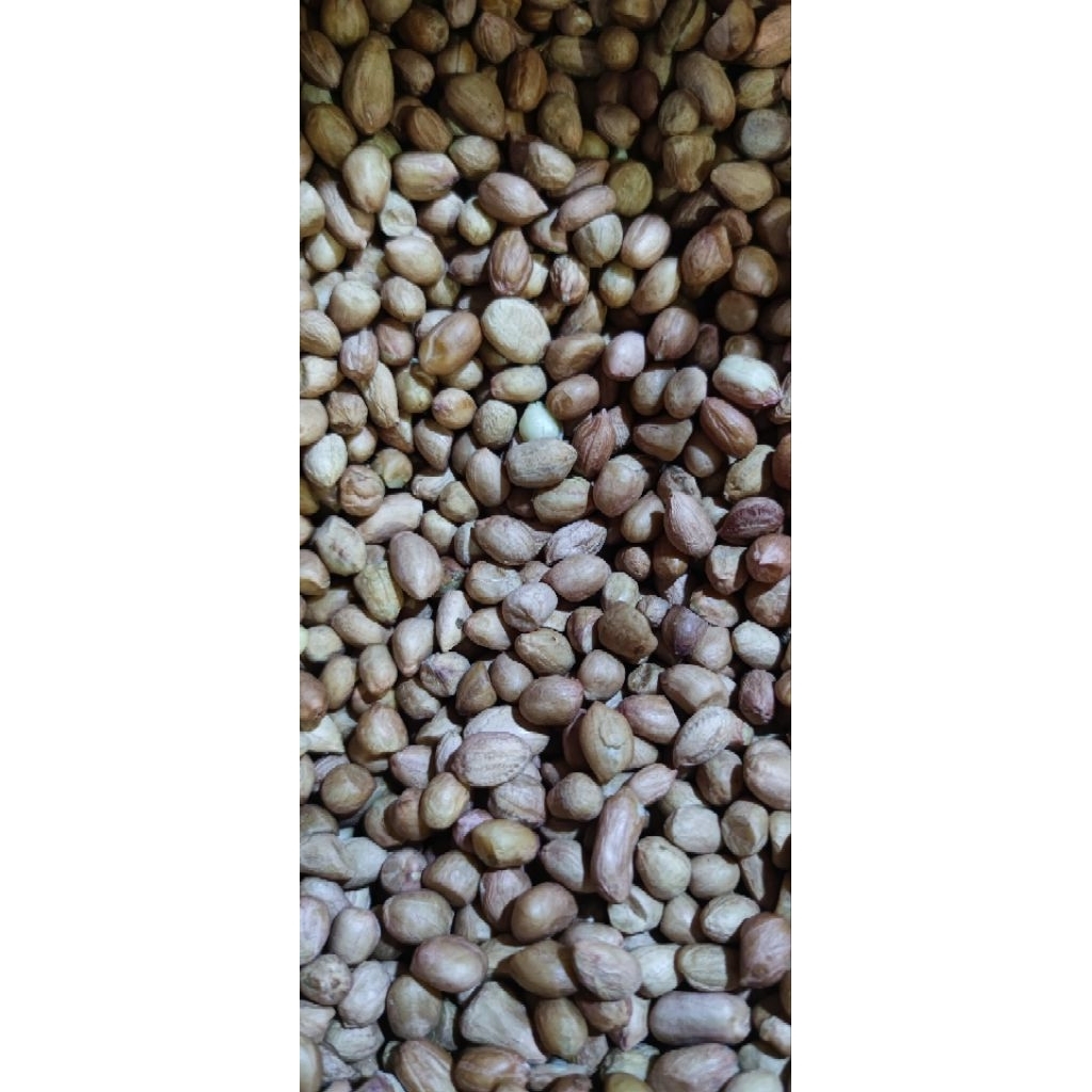 Kacang Tanah Super