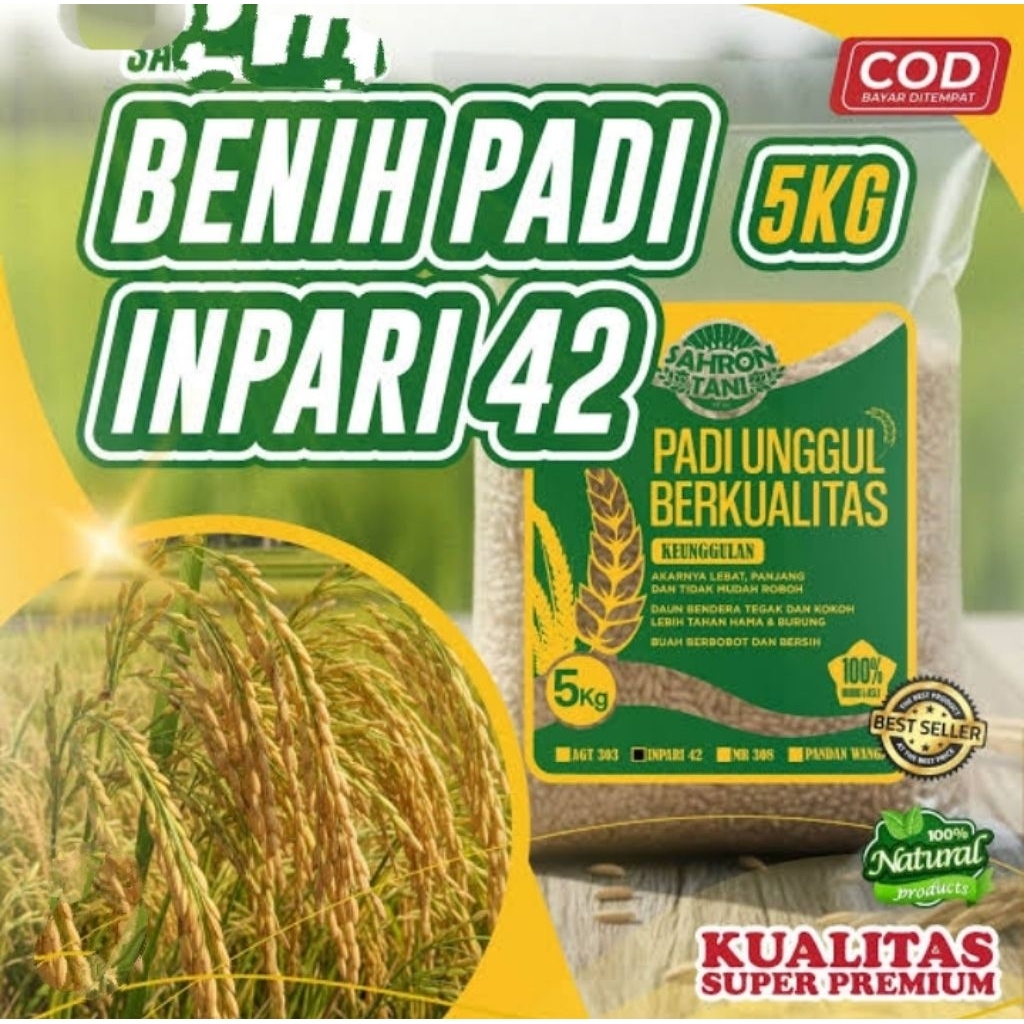 Benih bibit padi Inpari 42 Kemasan 1 kg