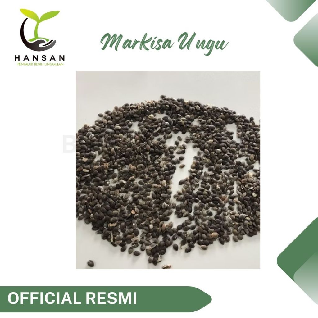 4 Bibit Buah Markisa Ungu Manis Super Benih Tanaman Buah Markisa Madu