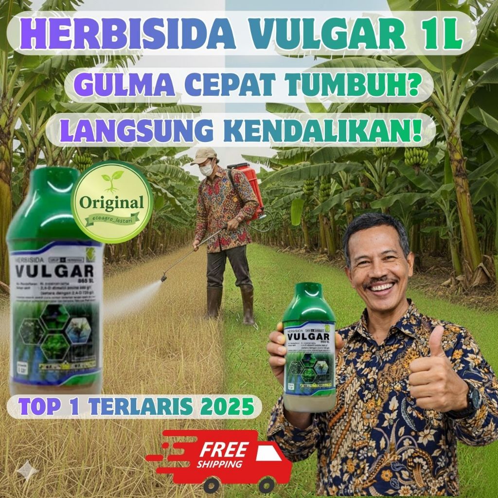 [RACUN RUMPUT PALING AMPUH] Vulgar 1000ml - Pembasmi Rumput, Racun Rumput Paling Ampuh, Rondap Pemba