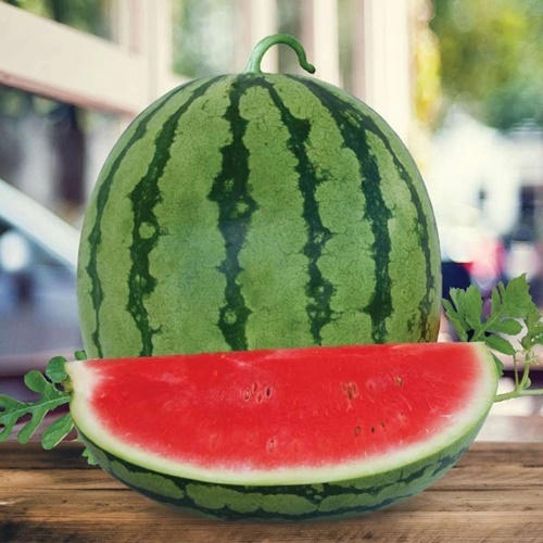 2 Benih Biji Semangka MADEIRA F1