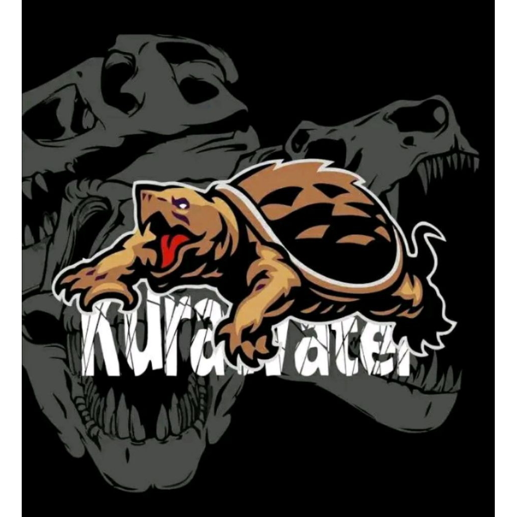 misteri Box kura kura