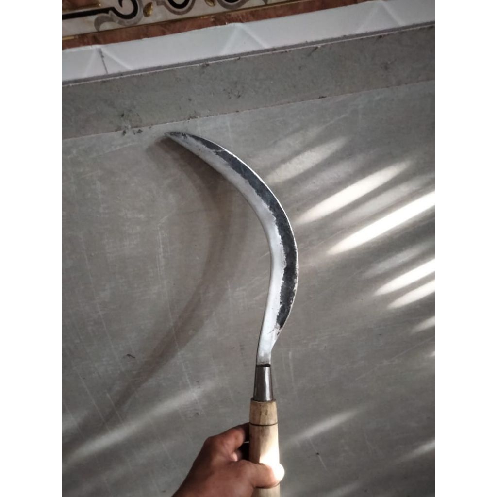 arit rumput asli produk madura