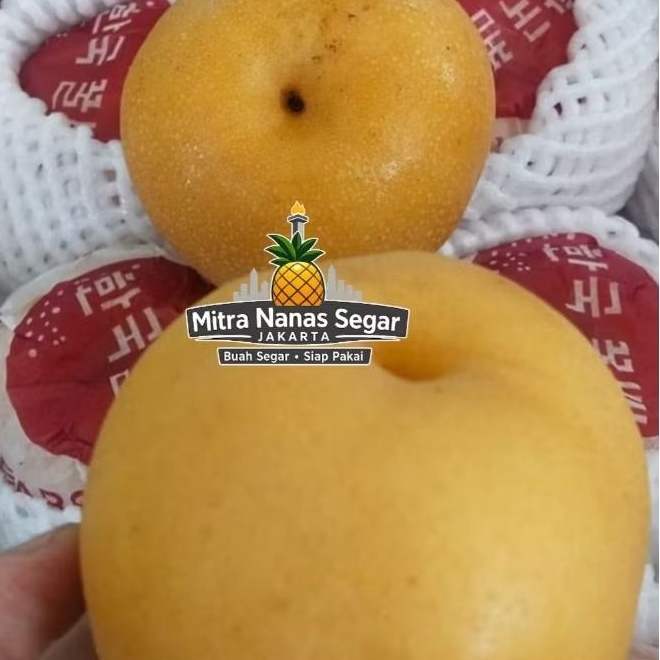 Buah Pir Singo Korea Manis 1 kg