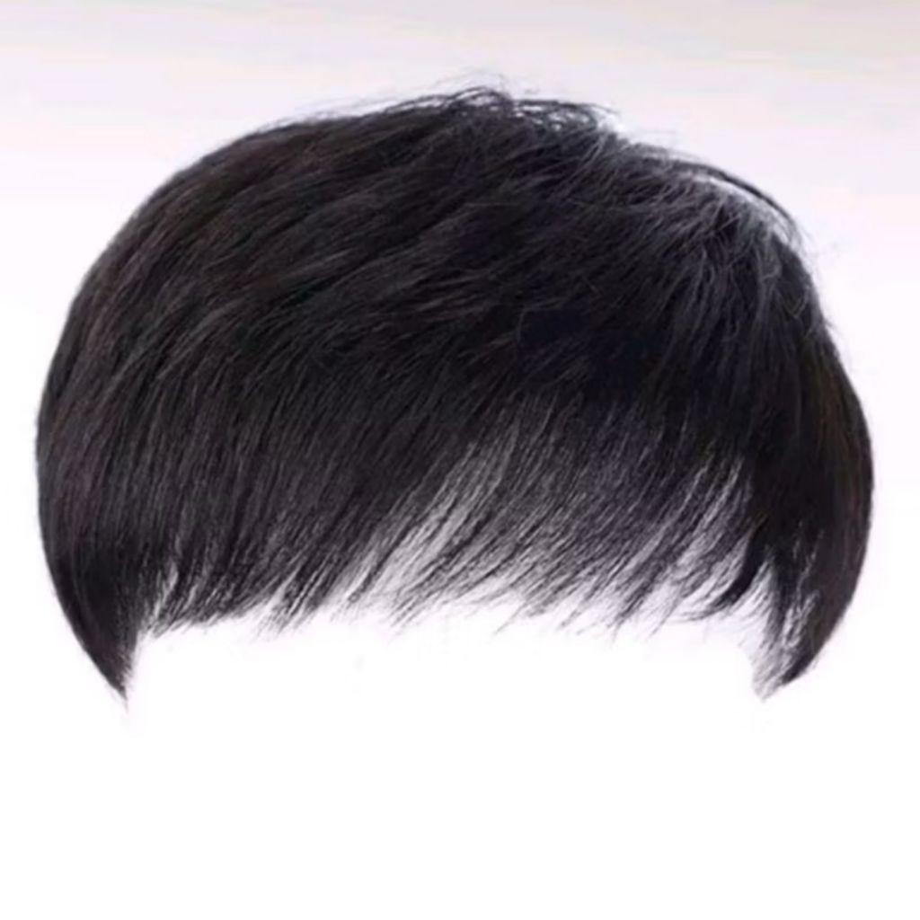 Rambut Palsu Penutup Botak / TOUPEE /Penutup Botak Pria