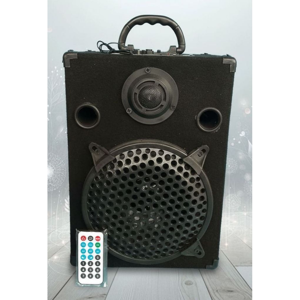 Speaker Aktif Bluetooth Karaoke TV Radio USB ECHO