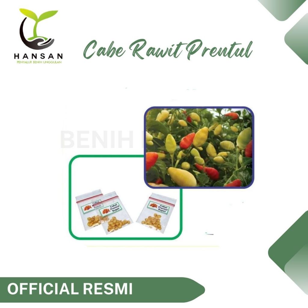 20 Bibit Cabe Rawit Prentul Klaster Benih Cabai Rawit Merah Viral