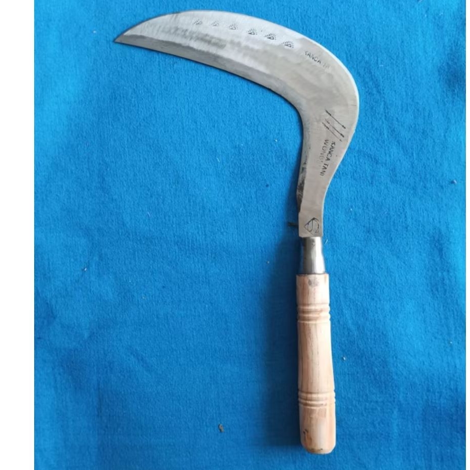 aret rumput baja isen asli wonosobo