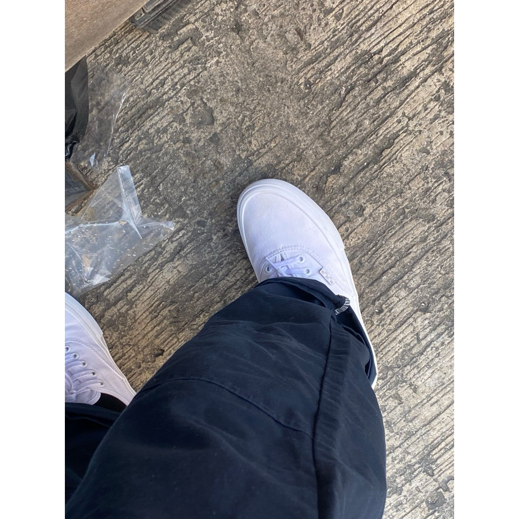 Vans Skate Authentic