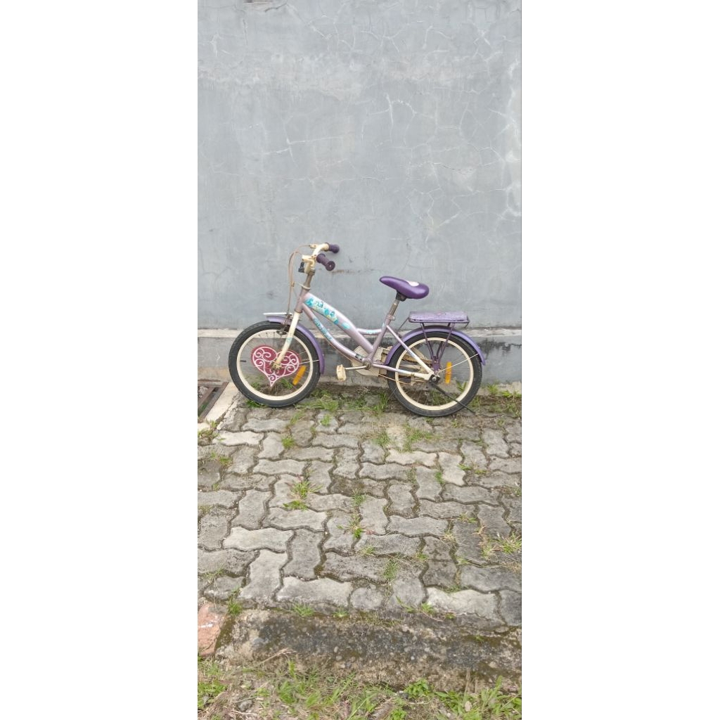Sepeda anak perempuan, merk Wim Cycle, 18 inchi, bekas pakai, lokasi Bukit Duri,Tebet.