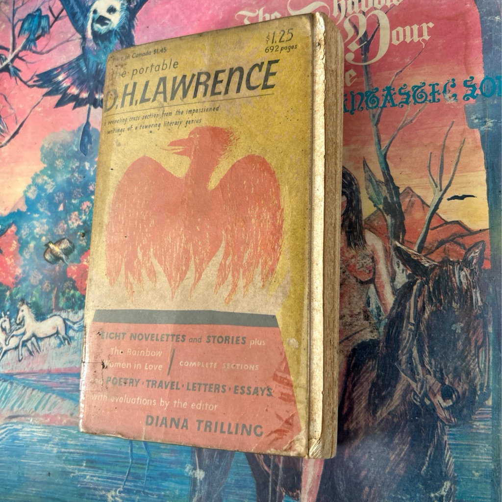Book of D.H. Lawrence: The rainbow, The portable, John thomas and lady jane