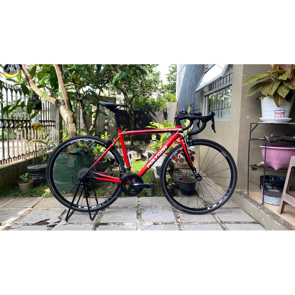 Frameset Polygon Helios 100