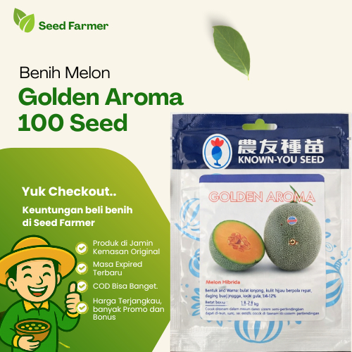 (1 PACK - 100 SEEDS) Benih Melon Golden Aroma Oranye Hibrida F1 Seeds - Known You Seed KYS