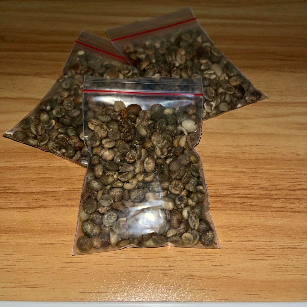 GREEN BEAN ROBUSTA BOGOR - GRADE ASALAN (COMMERCIAL)