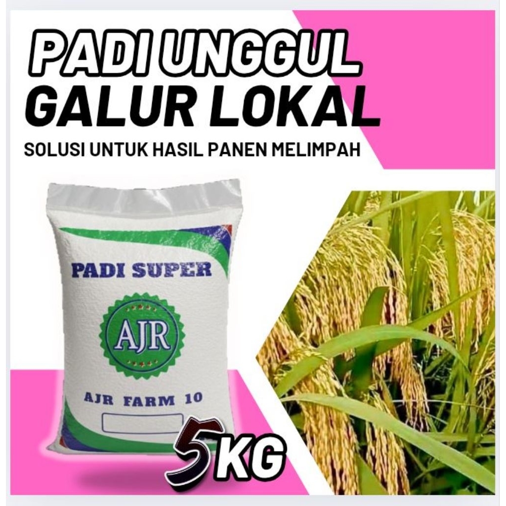 Benih Padi Unggul Kualitas Terjamin (GALUR LOKAL)5Kg