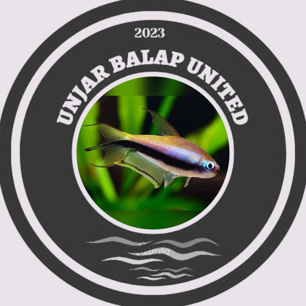 Tetra palmeri / ukuran besar / tetra emperor / kaisar tetra / neon black tetra palmery / hiasan aqua