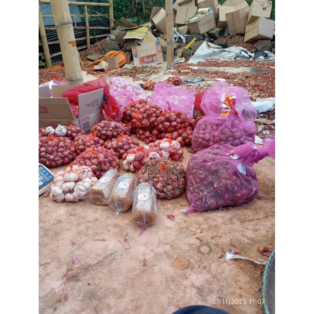 grosir 50 kg karungan bawang lokal bali karet besar (bisa request ukuran)