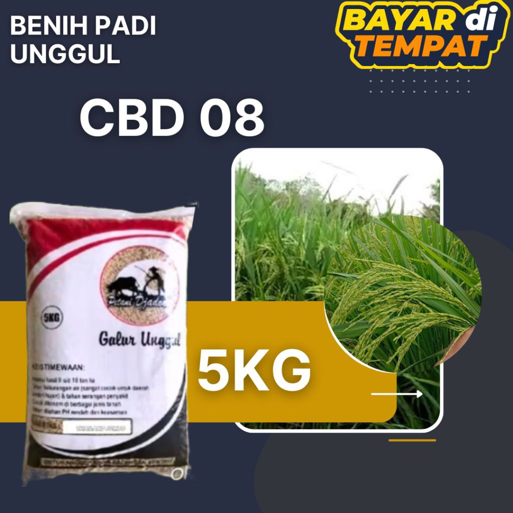 BENIH PADI UNGGUL CBD 08 KEMASAN 5KG