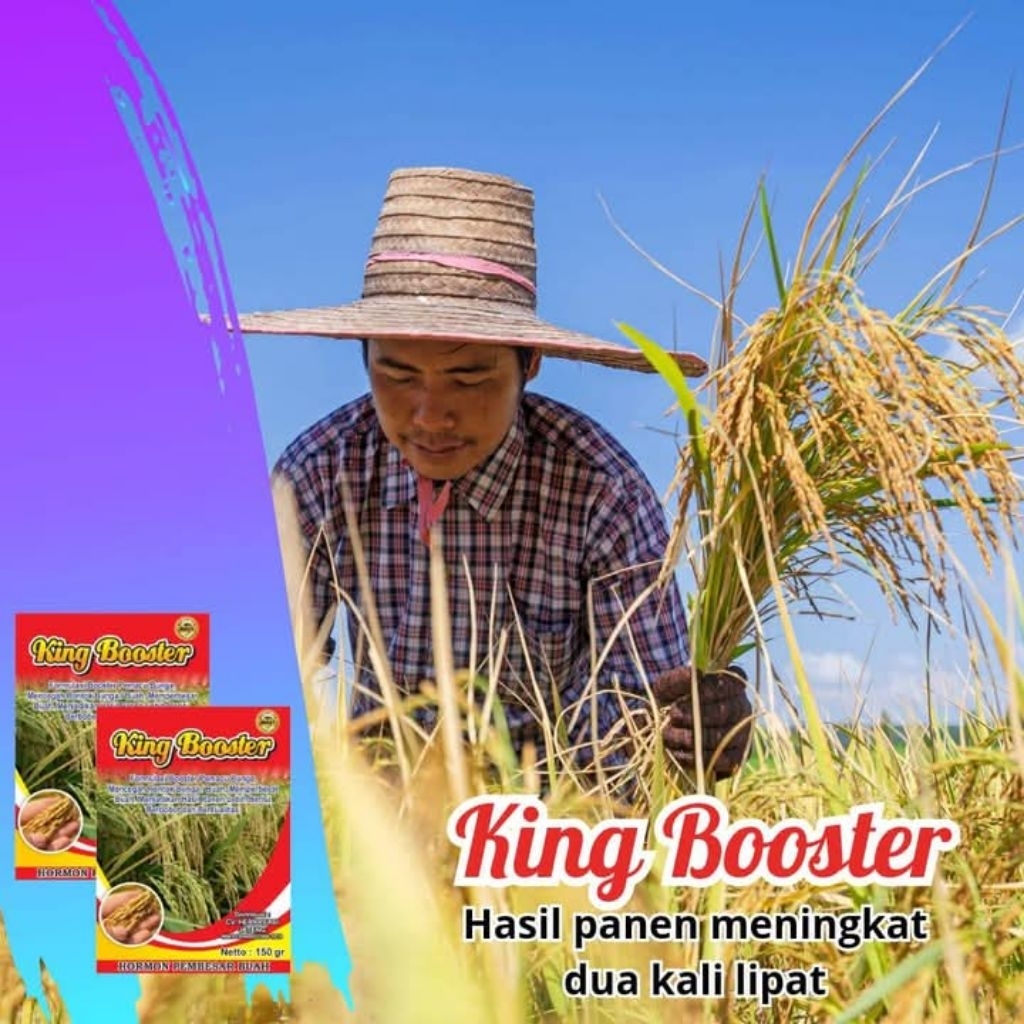 TERLARIS PUPUK KING BOSTER (ORI 100%) 150gr,PUPUK PEMBESAR BUAH,PADI DAN SAYUR,PUPUK BUAH LEBAT