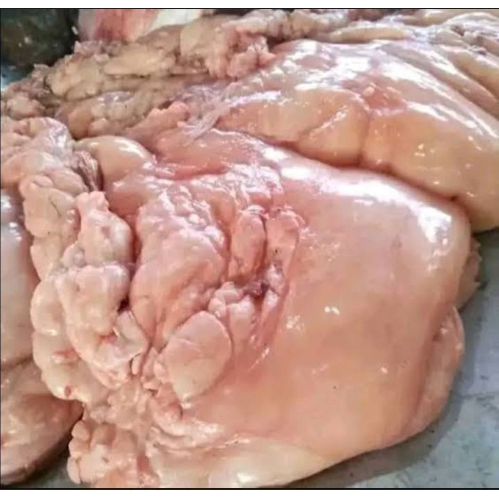lemak ginjal sapi