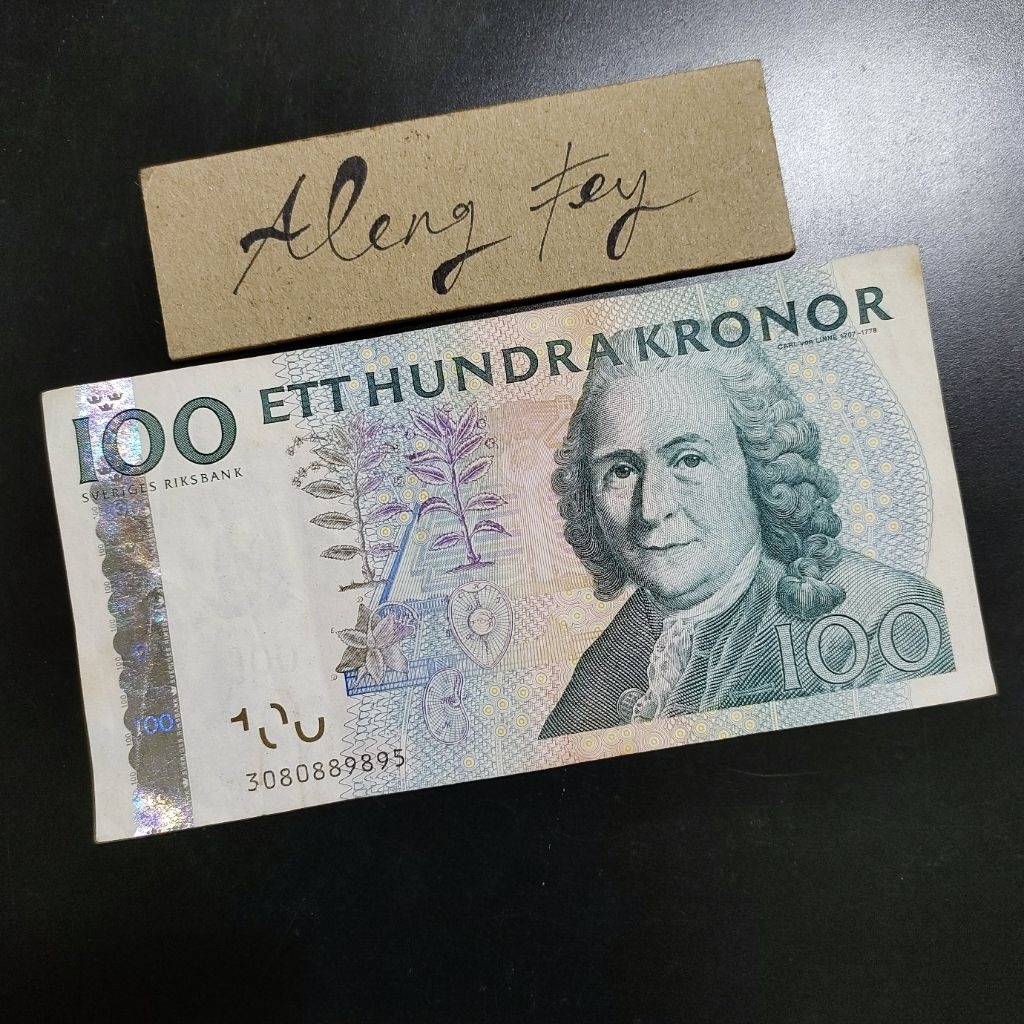 uang asing Swedia 100 Kronor