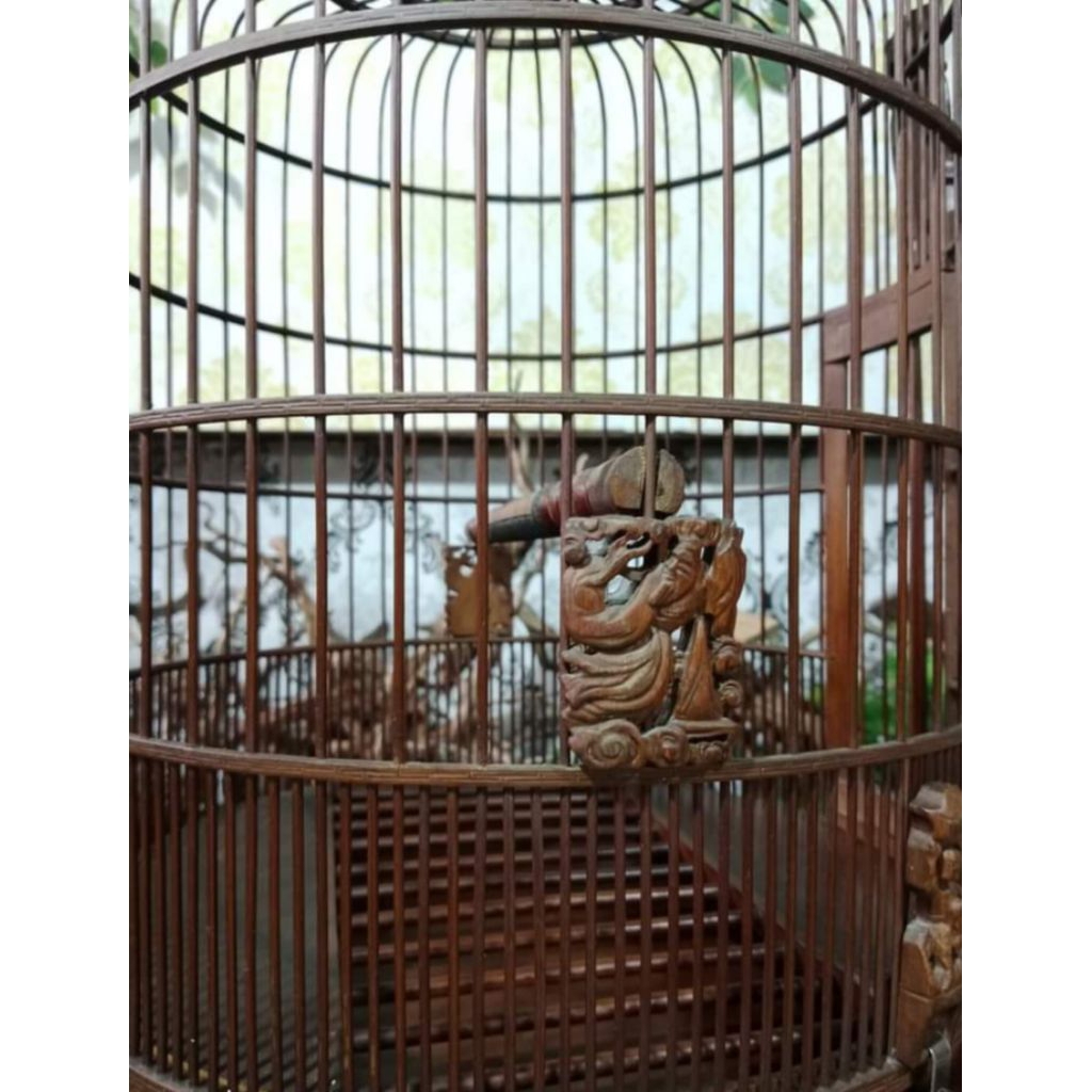 sangkar cungkok anis merah