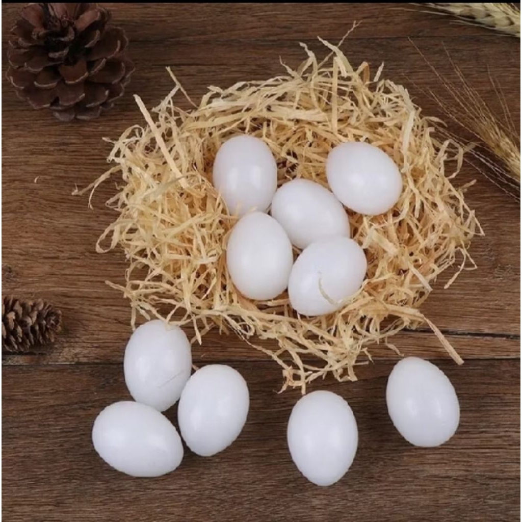 telur palsu merpati, menyerupai telur asli