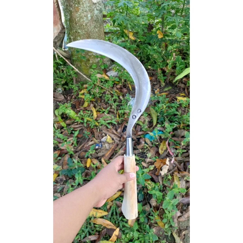 Alat pertanian baja rumput cap SS lokal produk asli madura