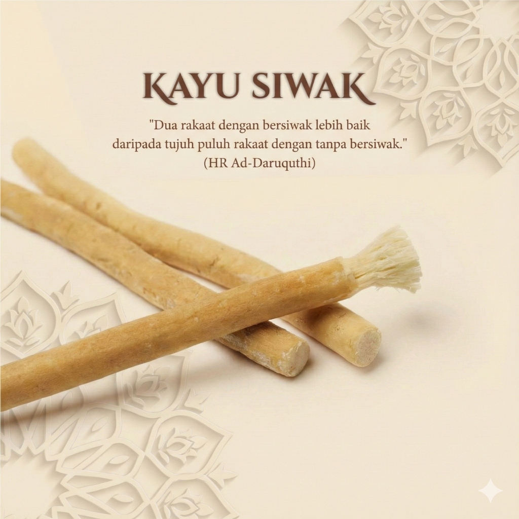 Siwak sewak miswak / Siwak sunnah / Siwak basah 15cm