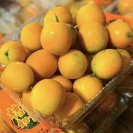 jeruk kimkit segar enak fresh