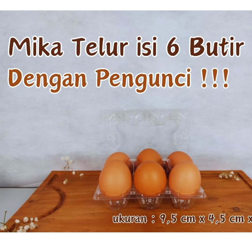 Mika Telur Isi 6 Butir Dengan Pengunci/Lock (isi 10 pcs mika telur)