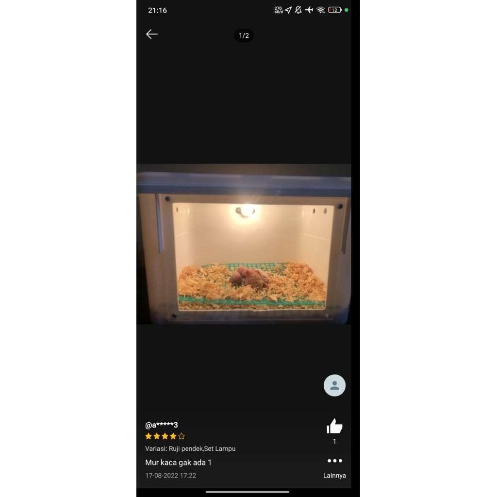 inkubator Kandang penghangat lolohan burung Dan ayam