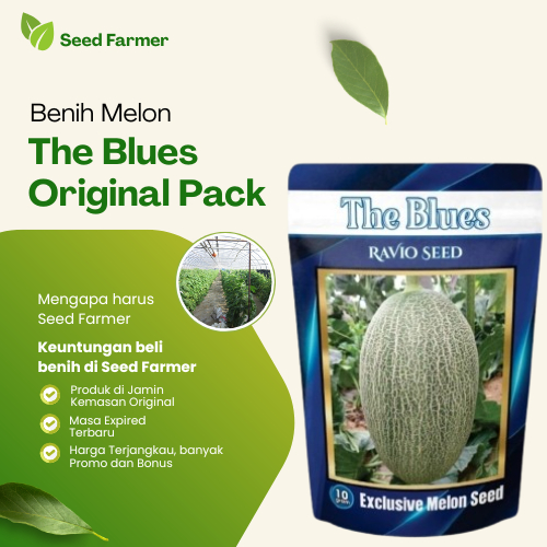 Benih Melon Sweet Hami Original Pabrik Swet Hami Net Kemasan 10 Gram