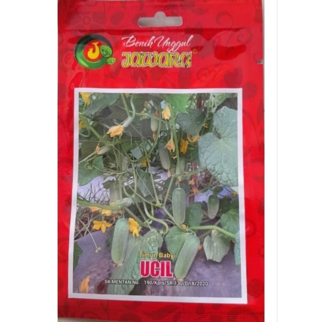 Benih Timun Baby Hijau UCIL 2 gr +- 75 butir