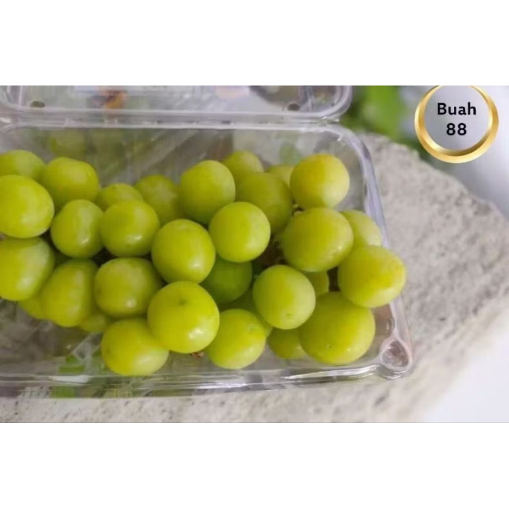 anggur hijau seedless(tanpa biji) 1kg/kirim instan/sameday