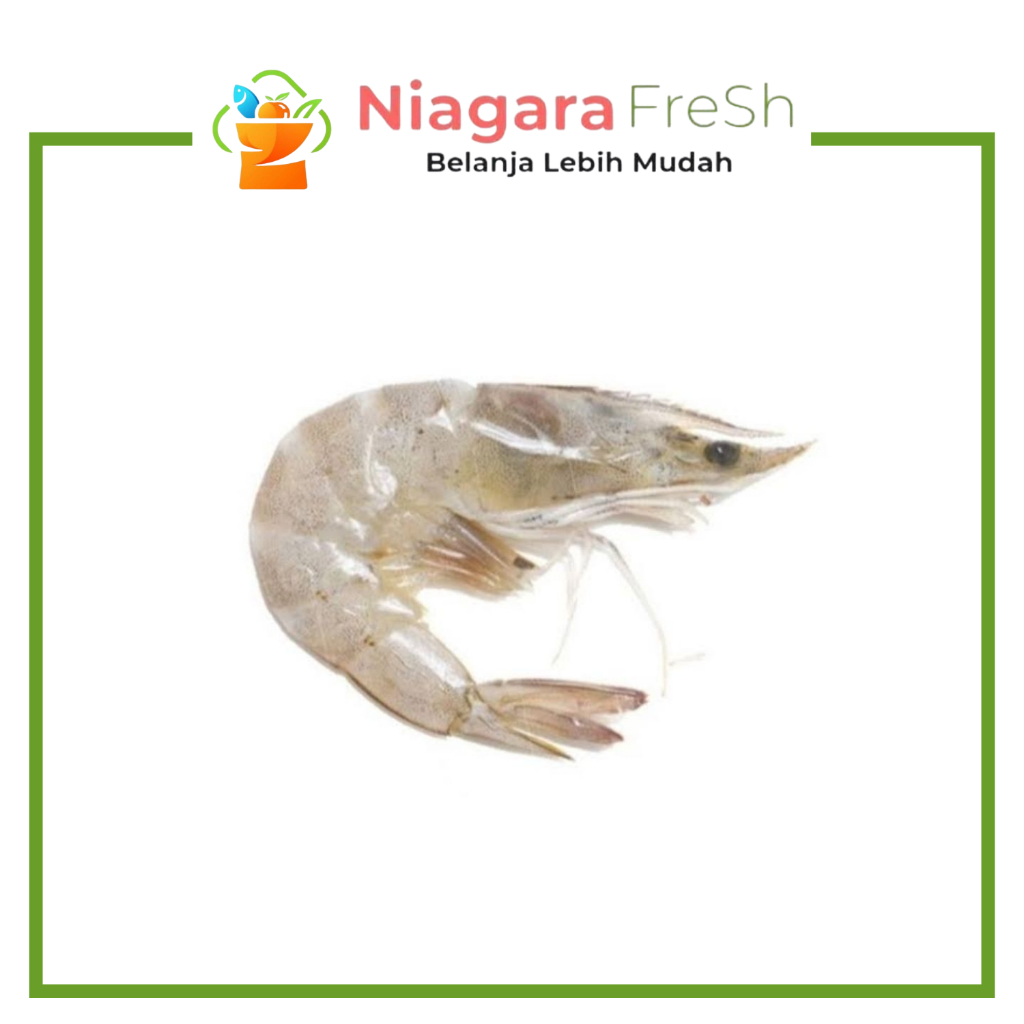 Udang Vaname SIZE 40-50 (Besar) - Segar & Lembut