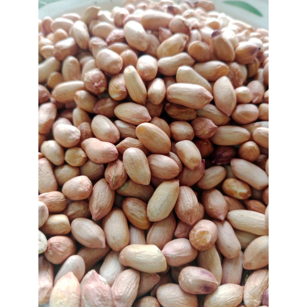 Kacang Tanah Kupas Mentah