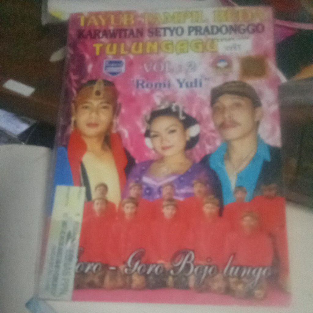 VCD TAYUB TAMPIL BEDA VV85