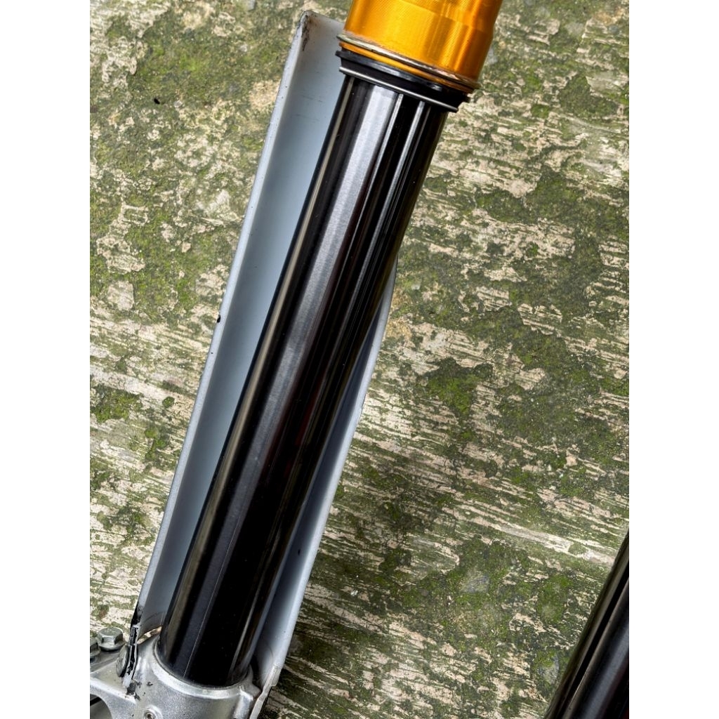 USD real jump Delkevic second PNP WR 155