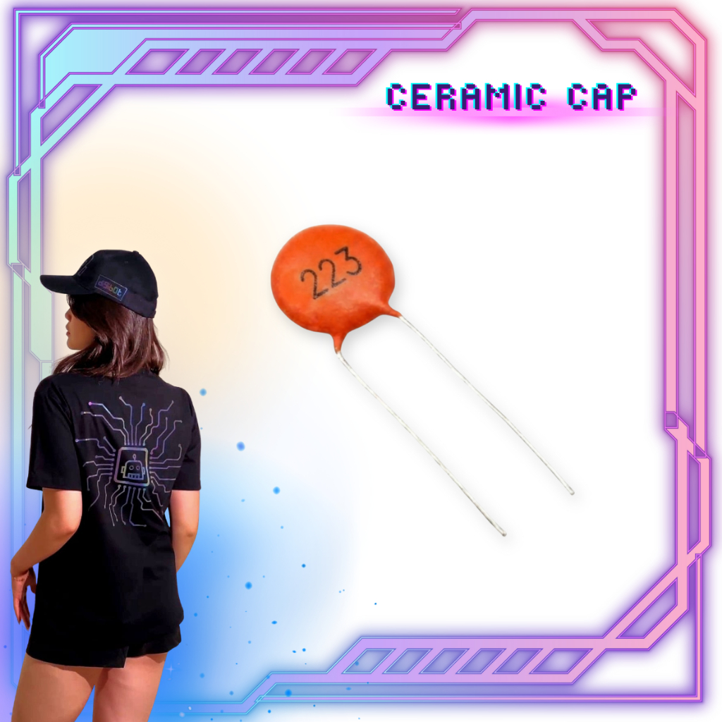 10 pcs Ceramic Capacitor - 22 nF - 223 - Digibot Official